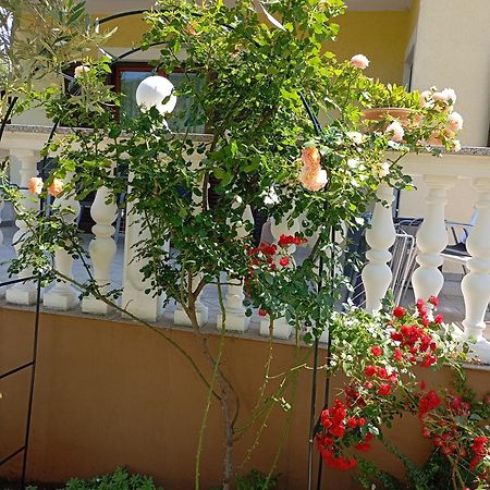 Apartments Nina Ravni Εξωτερικό φωτογραφία