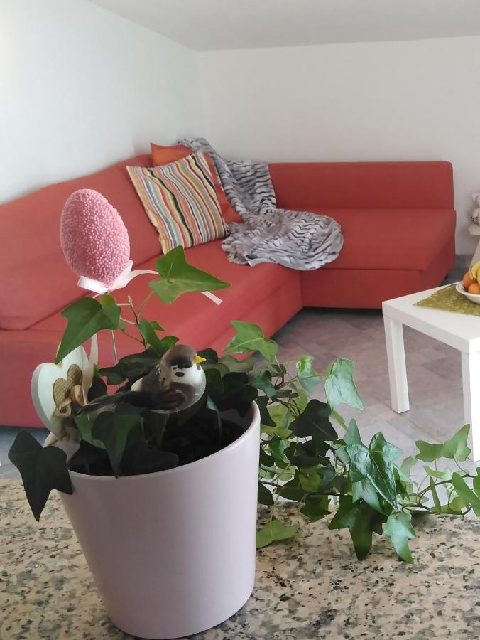 Apartments Nina Ravni Δωμάτιο φωτογραφία
