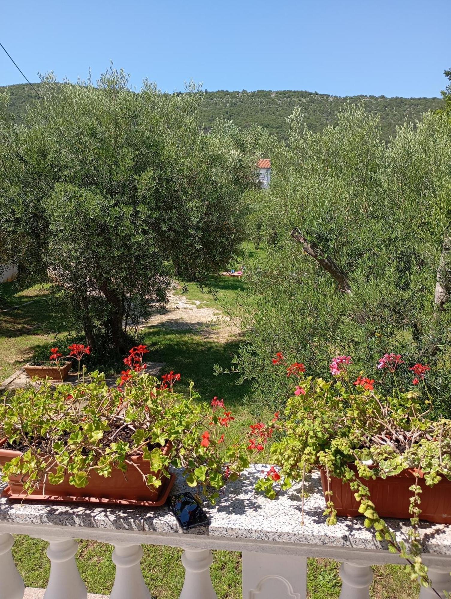 Apartments Nina Ravni Εξωτερικό φωτογραφία