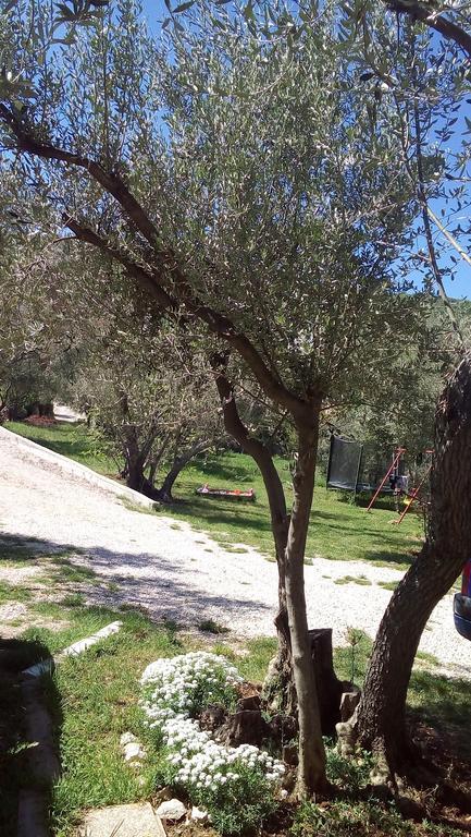 Apartments Nina Ravni Εξωτερικό φωτογραφία